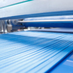 (Rex Futura Multi Detail 2 240X240)