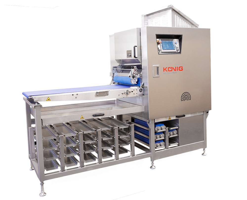 Rex Futura Multi Side 1 Kl